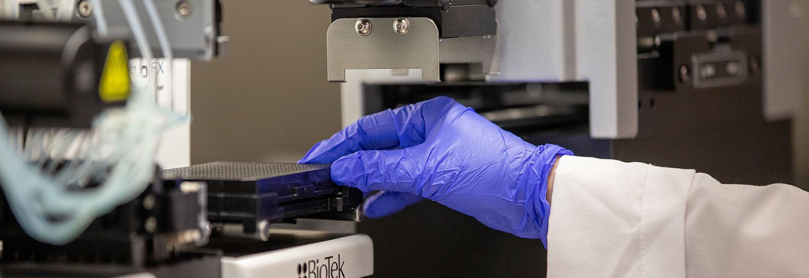 hand in purple glove using a microscope